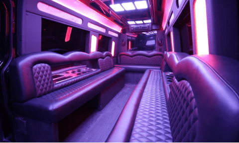 Buckeye 14 Passenger Sprinter Bus Interior