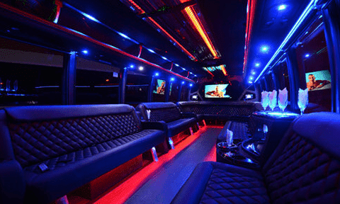 Oro Valley 30 Passenger Party Bus Black Interior